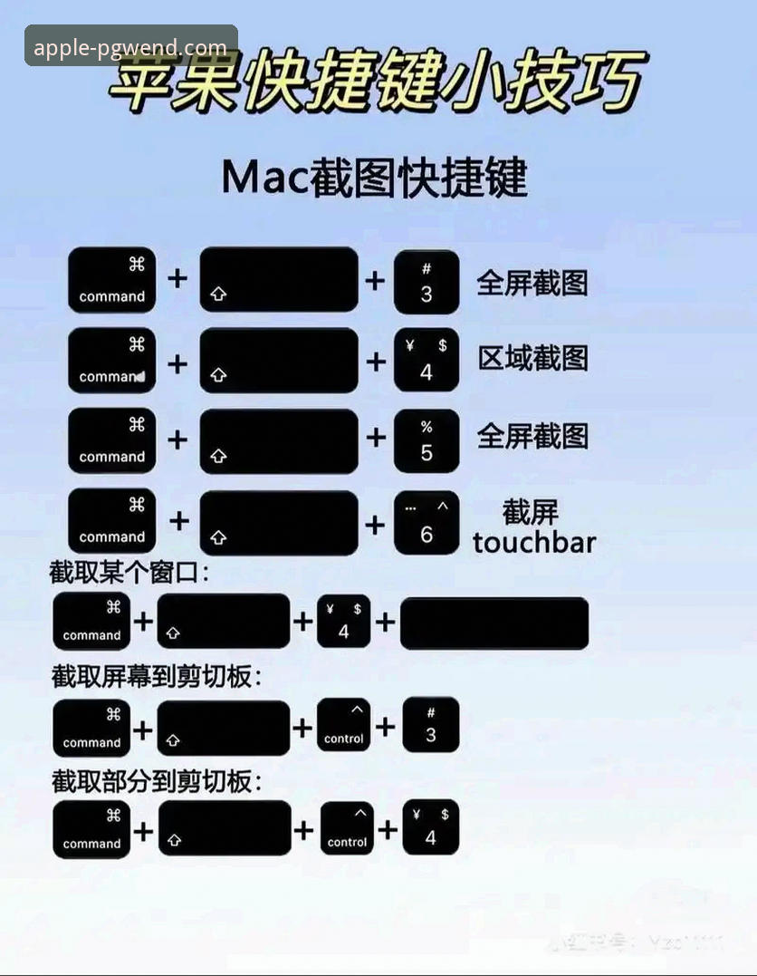 PG问鼎Mac版下载安装教程：老用户带你走完从下载到上手的全流程