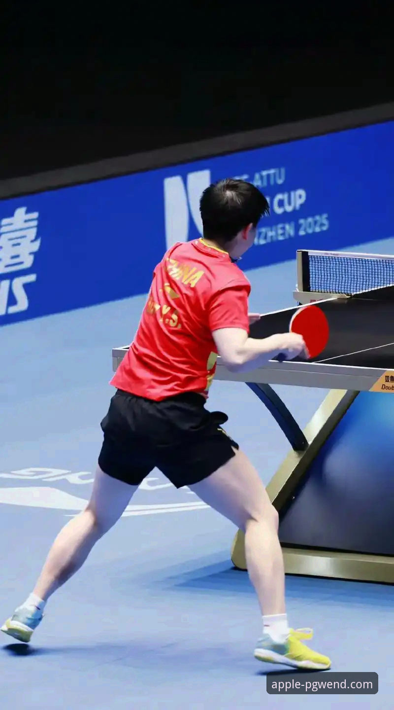 孙颖莎的掌控力与PG问鼎iOS版安装安全吗：一场关于稳定与突破的赛事观察